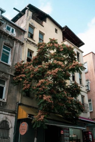 P1170508
